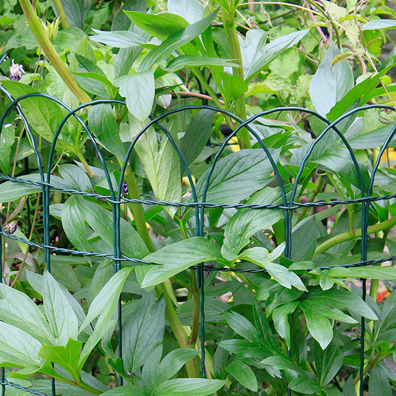 Garden Border Fence, Garden Border Fence